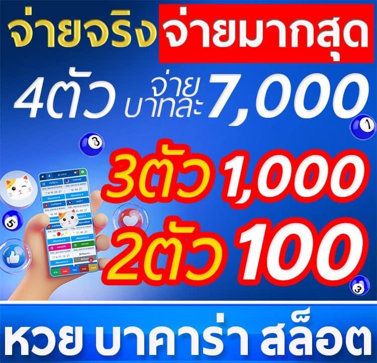 ทำความรู้จักกับ CAT888VIP แพลตฟอร์มหวยและสล็อตที่ปลอดภัยและน่าเชื่อถือ